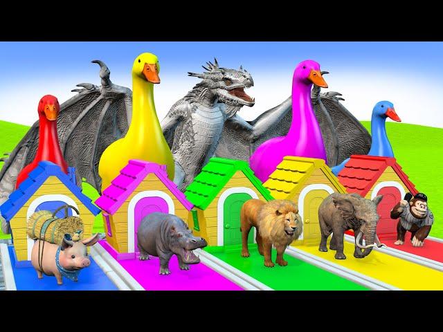 5 Giant Duck Cartoon,Cow,Elephant,Tiger,Lion,Giraffe,Paint Wild Animals Crossing Fountain Animation