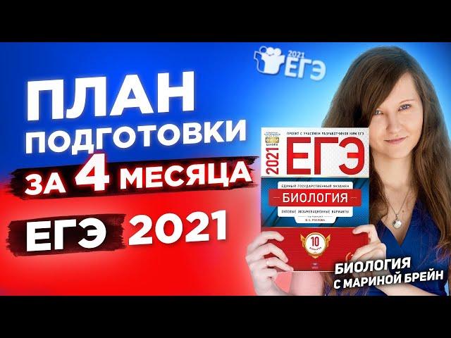 ЕГЭ по биологии с нуля за 4 месяца. Пошаговый план подготовки