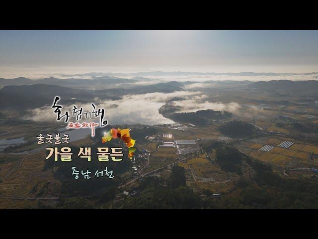 부엉이 마을의 전설[화첩기행 울긋불긋 가을 색 물든 - 서천]
