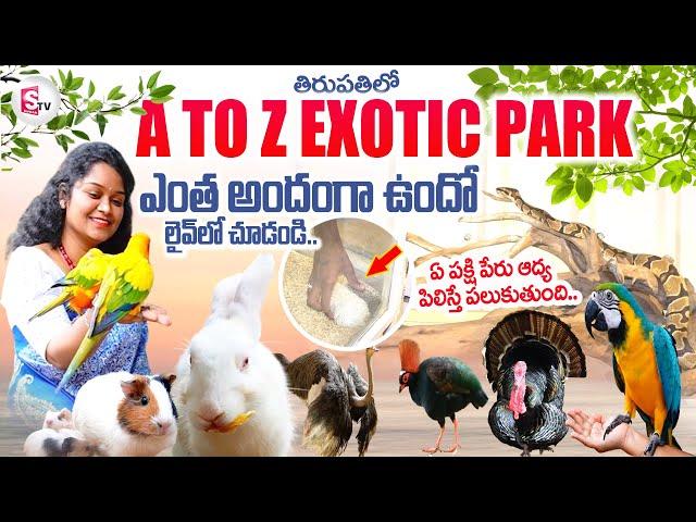 A TO Z Park Tour in Tirupati | Beautiful Birds | Cute Rabbit | Telugu Vlogs | Tirupati Updates