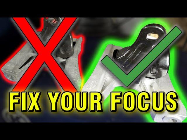 SHAKING Ford Focus FIX! | The OEM Motor Mount is the KEY!