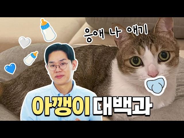 건강한 고양이는 아기 때 완성된다?? (아깽이 얘기만 계속하는 영상)