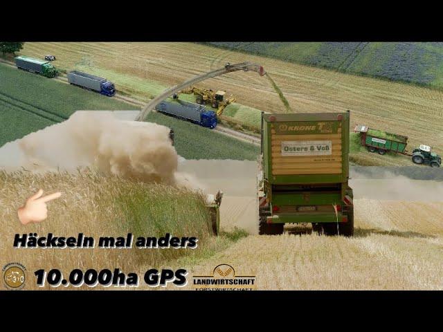 Häckseln mal anders...Großeinsatz 10.000ha GPS! Osters&Voß mit 2 Jaguar 950 Silage mit Ropa verladen