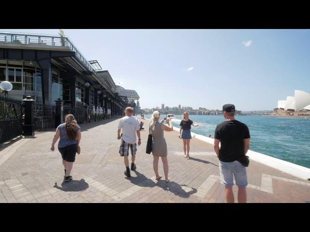 Sydney Video Walk 4K - The Rocks to Barangaroo Reserve Spring 2017