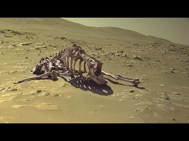 Mars Perseverance Rover Recently Uploaded Stunning Video Footages Mars in 4k: Mars Update: Mars Live