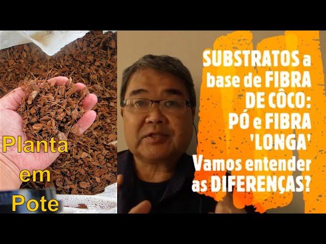 SUBSTRATOS PARA PLANTAS a base de FIBRA DO CÔCO: PÓ e FIBRA 'LONGA". Vamos entender as DIFERENÇAS?