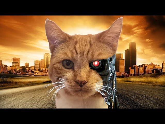 Terminator - Starring My Cat | Terminator Movie Trailer