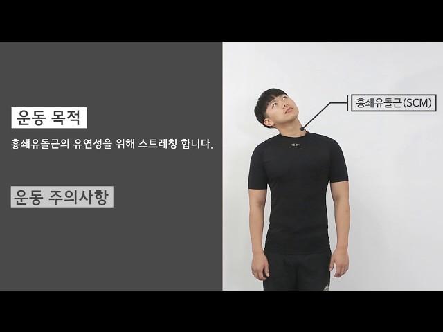 1 흉쇄유돌근