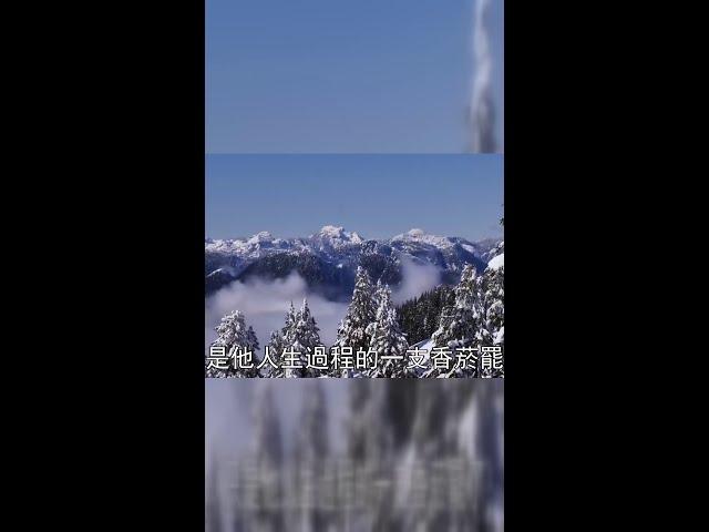從他的背叛到她的新生