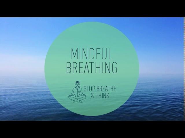 3 minute Mindful Breathing Meditation Relieve Stress