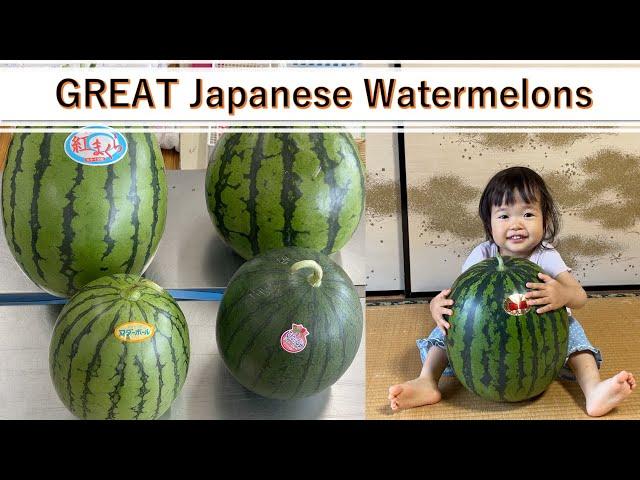 Food Review | All About the Attractiveness of Japanese Watermelons