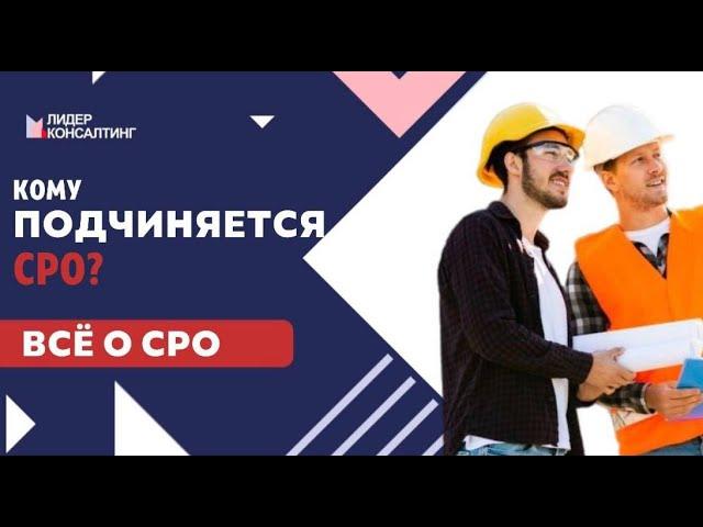 Кому подчиняется СРО? "Лидер Консалтинг"