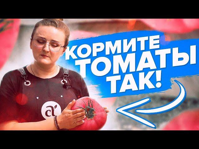 ПОДКОРМКИ ТОМАТОВ ВЕСНОЙ, ЛЕТОМ, ОСЕНЬЮ. САМАЯ ПОДРОБНАЯ ШПАРГАЛКА