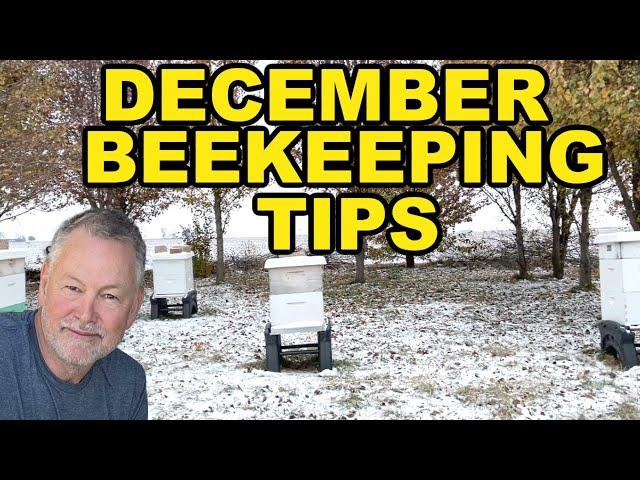 Beekeeping TIPS For DECEMBER