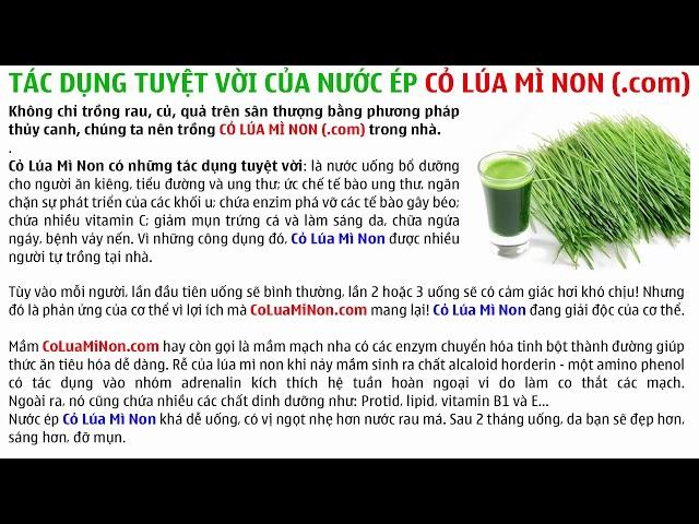 998. Vì sao loài người nên uống Nước Ép CỎ LÚA MÌ NON