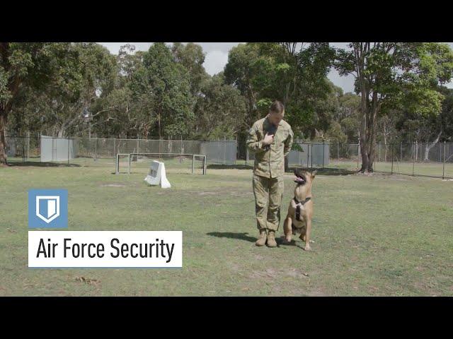 Air Force - Air Force Security