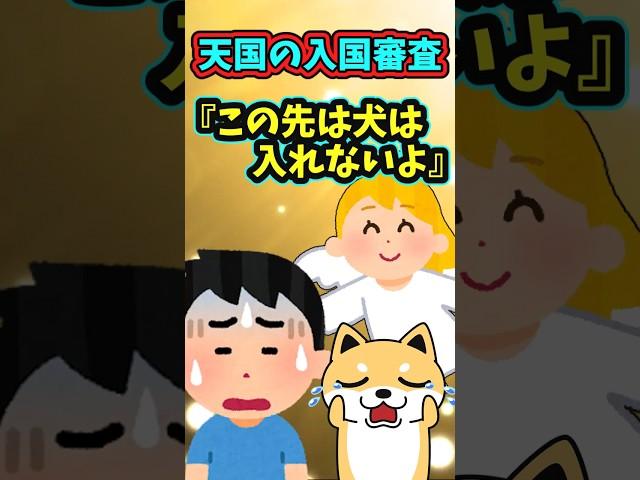 天国に入れる資格   　　　　　　　　　　　　　　　　　　　　　　　　　　    【 感動する話 泣ける話 切ない話 涙活 】 #2ちゃんねる #2ch #2ch面白いスレ #猫 #犬 #Shorts