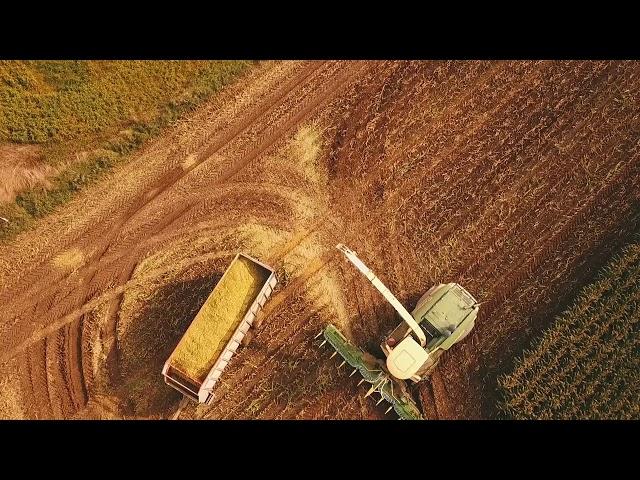 Salm's Custom Harvesting - dealing with the mud