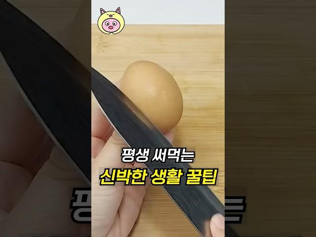 평생 써먹는 신박한 생활 꿀팁!