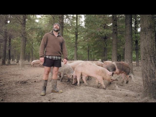 Kiwi Bacon - 100% New Zealand Free Farmed