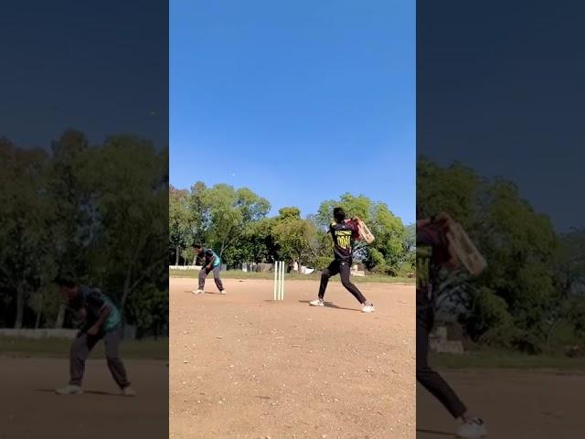 cricket shorts 