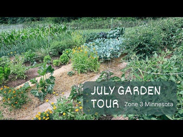 Garden Tour July 2023 (Zone 3 Minnesota)