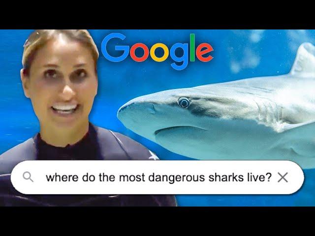 Shark Expert Answers The Most Googled Questions About Sharks