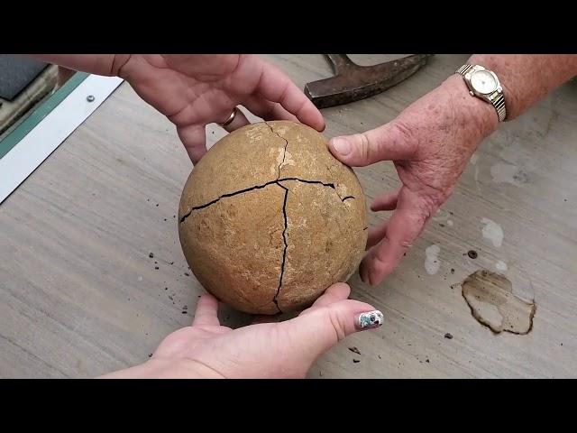 Breaking open Grandma's sandstone rock from 45 years ago *FOSSIL INSIDE*