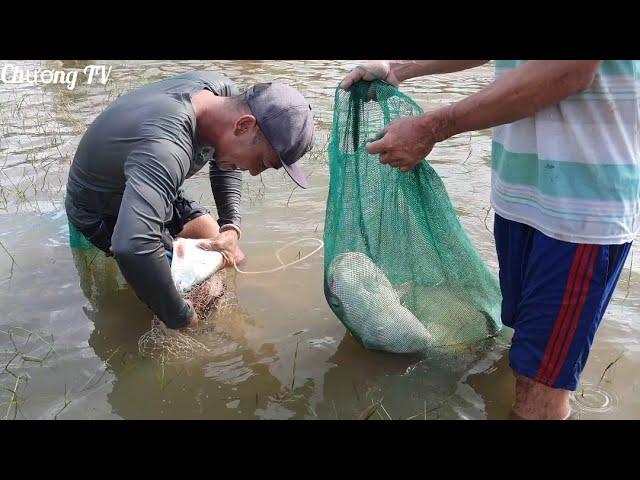 Thousands of people caught giant fish stranded at the foot of the hydroelectric dam