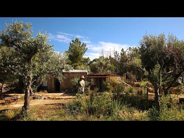 Day to Day Life on our Homestead - Off Grid in Rural Portugal