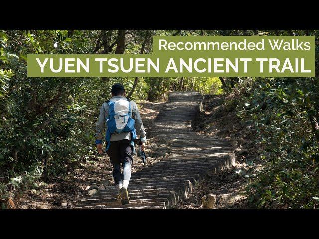 Yuen Tsuen Ancient Trail｜Recommended Walk