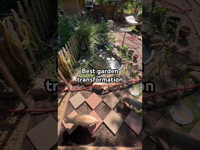 The Best $60 Garden Transformation #gardendesign #backyard #smallgarden