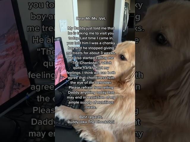 Buddy writes and URGENT email‼️#funnydog #funnydogvideos #dogfunny #funny #funnyvideos #dog #doglife