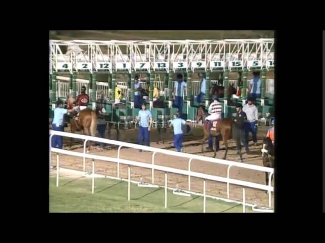 Al Shahania & Al Naama Cups Day