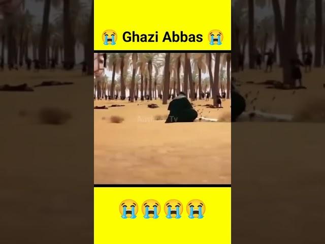 Ghazi Abbas | Karbala #shorts #maulaabbas #ghaziabbas #karbala