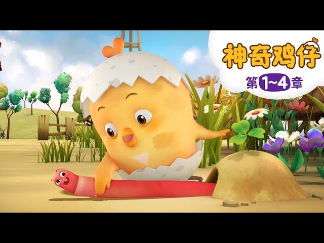 神奇鸡仔 1~4 | 30分 | 好習慣卡通動畫 | 卡通動畫 | Como Kids TV