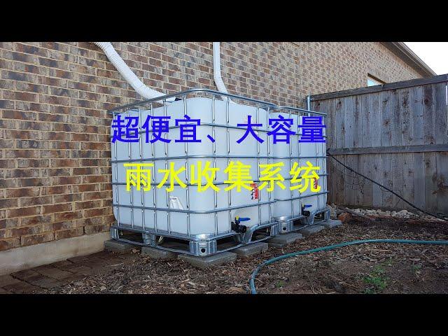 [Eng Sub] DIY: Cheap Rain Collection System 超便宜、大容量雨水收集桶 (年收集量：5,500加仑) (20250112)