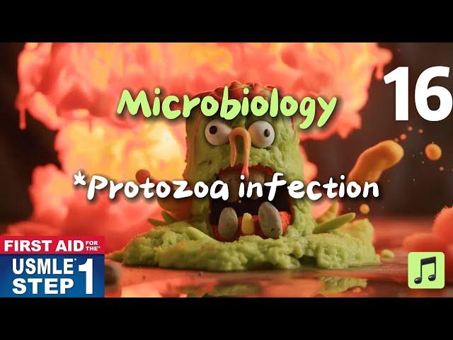 USMLE || First Aid Step 1, Microbiology *Protozoa infection *#usmlestep1videos #usmlestep1