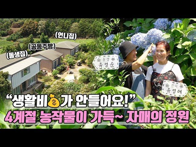 [ SUB ] 자매의 텃밭 정원 The Sisters'  Vegetable Garden | 정원의 발견 Wonders of Garden | KBS제주20230721방송