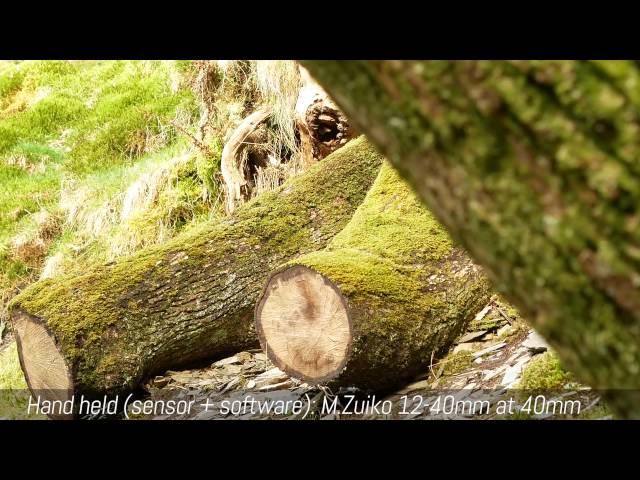Panasonic GX80 / GX85 - 4K Live Cropping Test