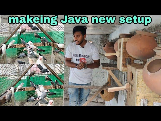 Makeing New Breeding Colony Setup  For Java Birds | Java Birds Breeding Setup.