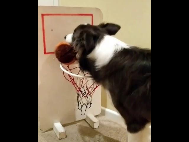 Playing Basketball 