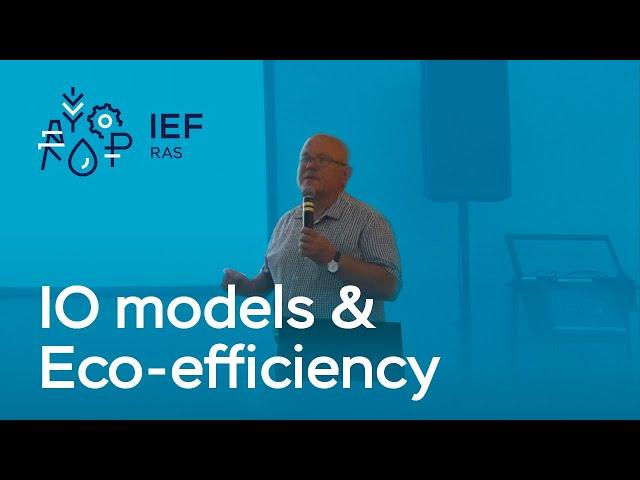  Measuring eco-efficiency in generalized IO models: multidimensional approach