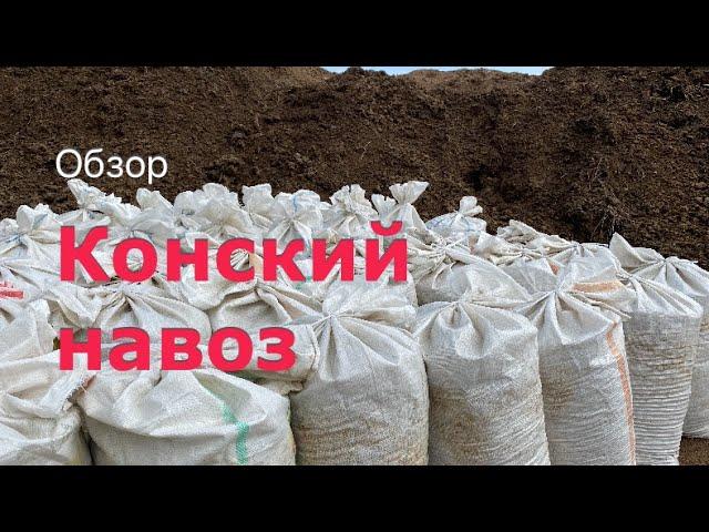 КАК ВЫГЛЯДИТ КОНСКИЙ НАВОЗ