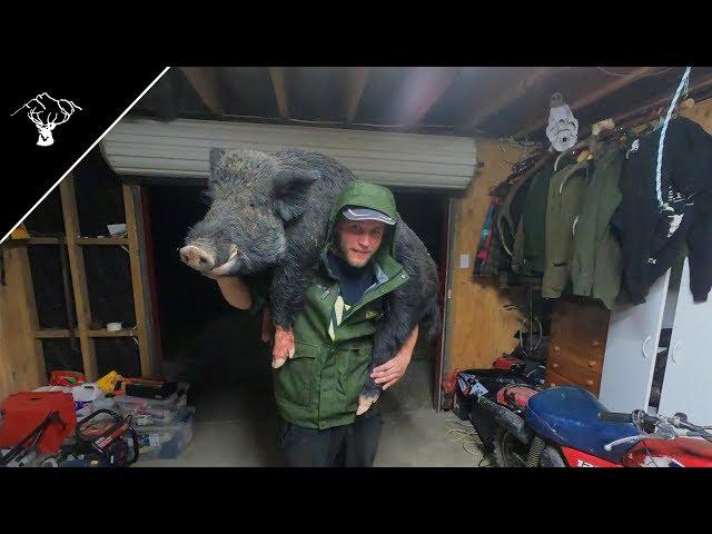 Pig Hunting NZ | Big Boar | Good Jaw