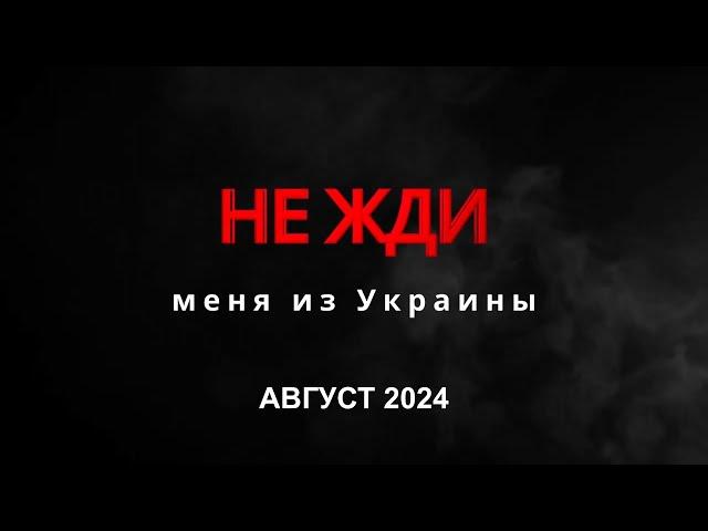 НЕ ЖДИ новости: АВГУСТ 2024 (выпуск 4)