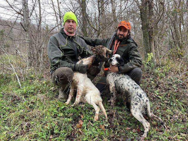 Caccia alla beccaccia 2022: due amici nel bosco / Woodcock Hunting