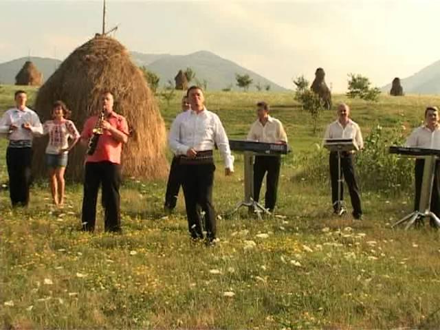 Puiu Codreanu Faina-i viata la romani