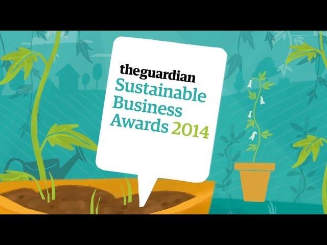 Guardian Sustainable Business Awards