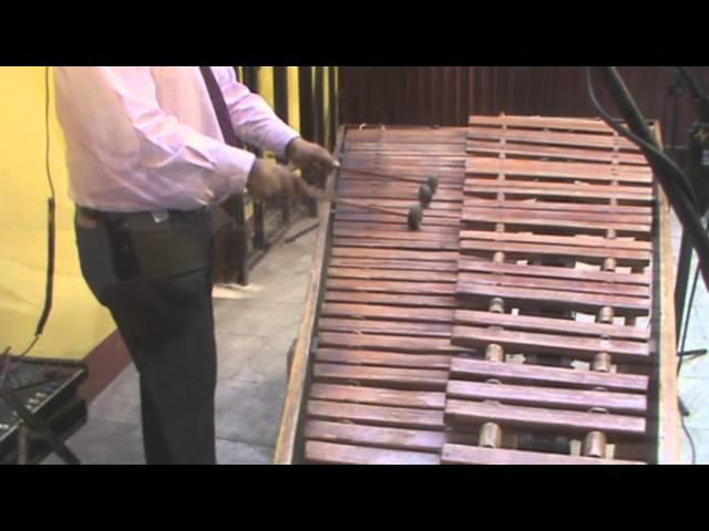 Diego Alberto Palacios Gonzalez - la bamba con marimba